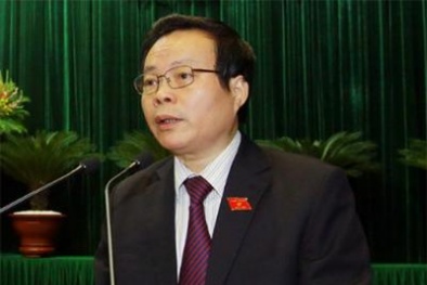 Tạm dừng cưỡng chế nợ thuế hai doanh nghiệp vàng